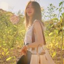 가방하니