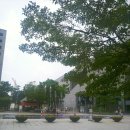 여주-1083 | 서울국립중앙박물관 중.근세관 관람 후기. 한여름에 가볼 만한 곳.