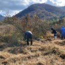 해남보호관찰소 이미지