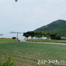 순자네식당 이미지