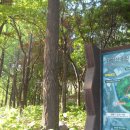 제288회 일요걷기(5월25일)는 상왕십리역에서 무학봉 대현산 공원의 왕십리 언덕길과 서울숲 걷겠습니다 이미지