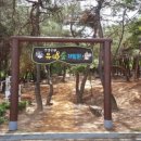 연암공원 유아숲체험원 이미지