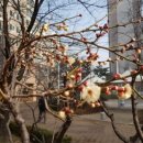 매화정원어린이집 이미지