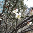 서방여인숙 이미지