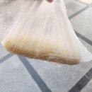 까로치아 모가점