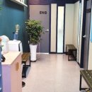 연푸른초 이미지