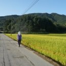 강릉지사 태양광발전소 이미지