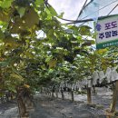 상안농장 이미지