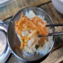 산수정 Daum카페