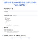 블루넷 | 항공일자리🧐 ANA항공/블루넷에어