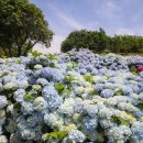 신례동로 이미지