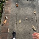 강물이 흐르는 곳 앞 간이화장실 | 24박 25일 태국 여행 - 10일차 : 치앙마이 빠이 그리고 빠이 하이 / 치앙마이 올드타운 해자러닝...