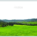 장흥골프랜드 이미지