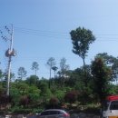 데이드림 오피스텔 이미지