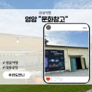 영암초등학교 | 영암 대동공장 문화창고 미디어아트 체험프로그램