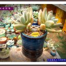 워시원 - 관악구 대학10길 22 | 워시원