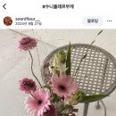 수니플레르