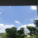 봉구스밥버거 전북대점 이미지