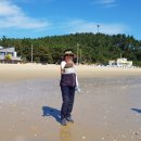 명사십리길 이미지