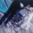 사금농장 이미지