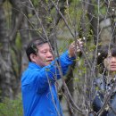 히든밸리펜션 이미지