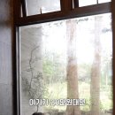 더들집애월 네이버블로그