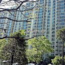 고양대로255번길 이미지