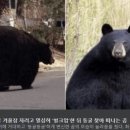 스마일이촌떡볶이 이미지