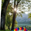 입구기타 이미지