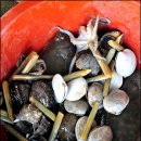 바다의 만찬 이미지