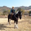 카우보이 이미지