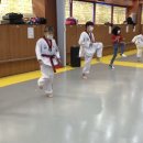 금광태권도 이미지