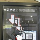 룩옵티컬 | 룩옵티컬에서 가성비 제니선글라스 맞추고 온 후기