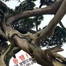 청춘목욕탕 이미지