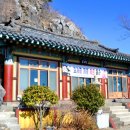 박재도농장 네이버블로그