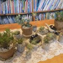 원예테라피 이미지