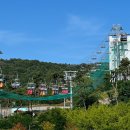 [경주/보문단지 놀거리]부모님도 함께 타고 즐길 수 있는 놀이기구 루지 추천! - 경주루지월드(feat...