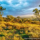 파랑새플란트 치과의원 이미지