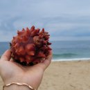 풍물편의점 이미지