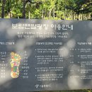 보라매355 이미지