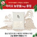 마리오농장 이미지
