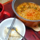 센트리웰마켓 | 상쾌한 숙변을 도와주는 차전자피 식이섬유 장올빈로 변비안녕