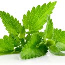 삼대한의원 이미지