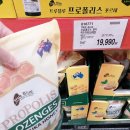 코스트코 트루블루 마누카 허니 프로폴리스 캔디 후기