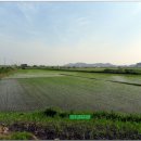 김포평화누리길 3코스 이미지