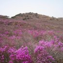 웰빙서울온누리약국 이미지