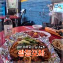 [대전 둔산동] 광장포차｜야외 포장마차 같은 실내포차, 비가와도 눈이와도 365일 낭만포차 광장포차
