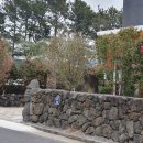 남원읍-104 이미지