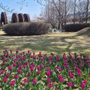 연꽃어린이공원 화장실 이미지