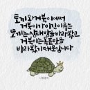 토끼와거북이